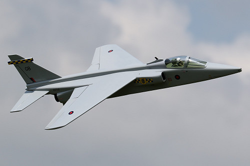 Tony Nijhuis 29 inch EDF Jaguar GR1