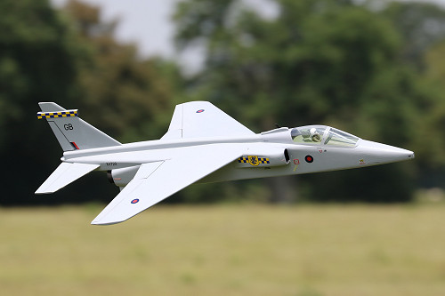 Tony Nijhuis 29" EDF Jaguar GR.1