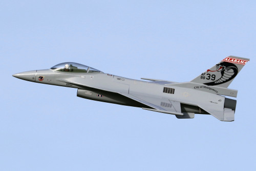 Tony Nijhuis F-16 Fighting Falcon 4S 50mm EDF