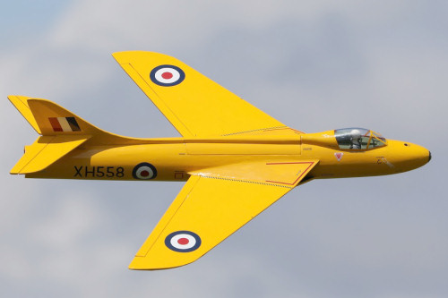 Tony Nijhuis 28" EDF Hawker Hunter